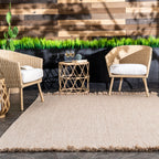 Ashen Braided Tassel Indoor/Outdoor Rug | Tan