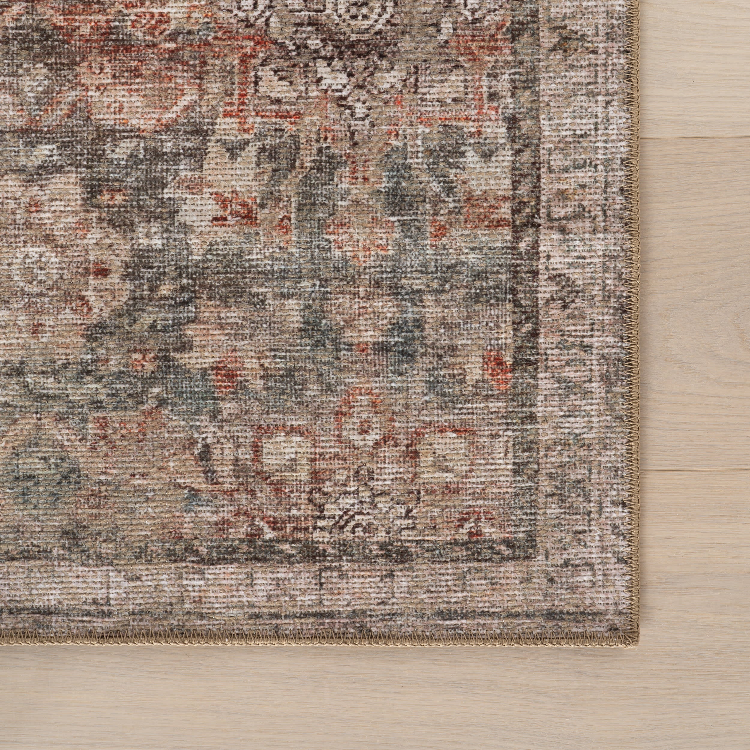 Via Floral and Paisley Rug | Multicolor