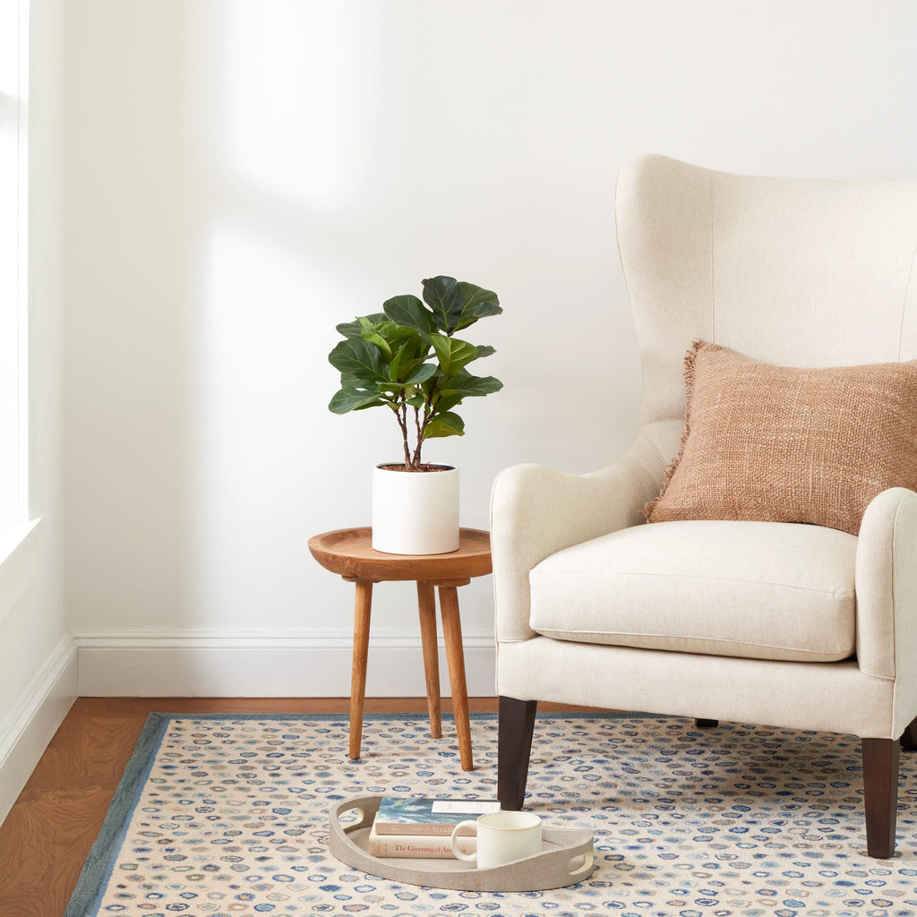 Cat's Paw Hand Micro Hooked Wool Rug | Mineral
