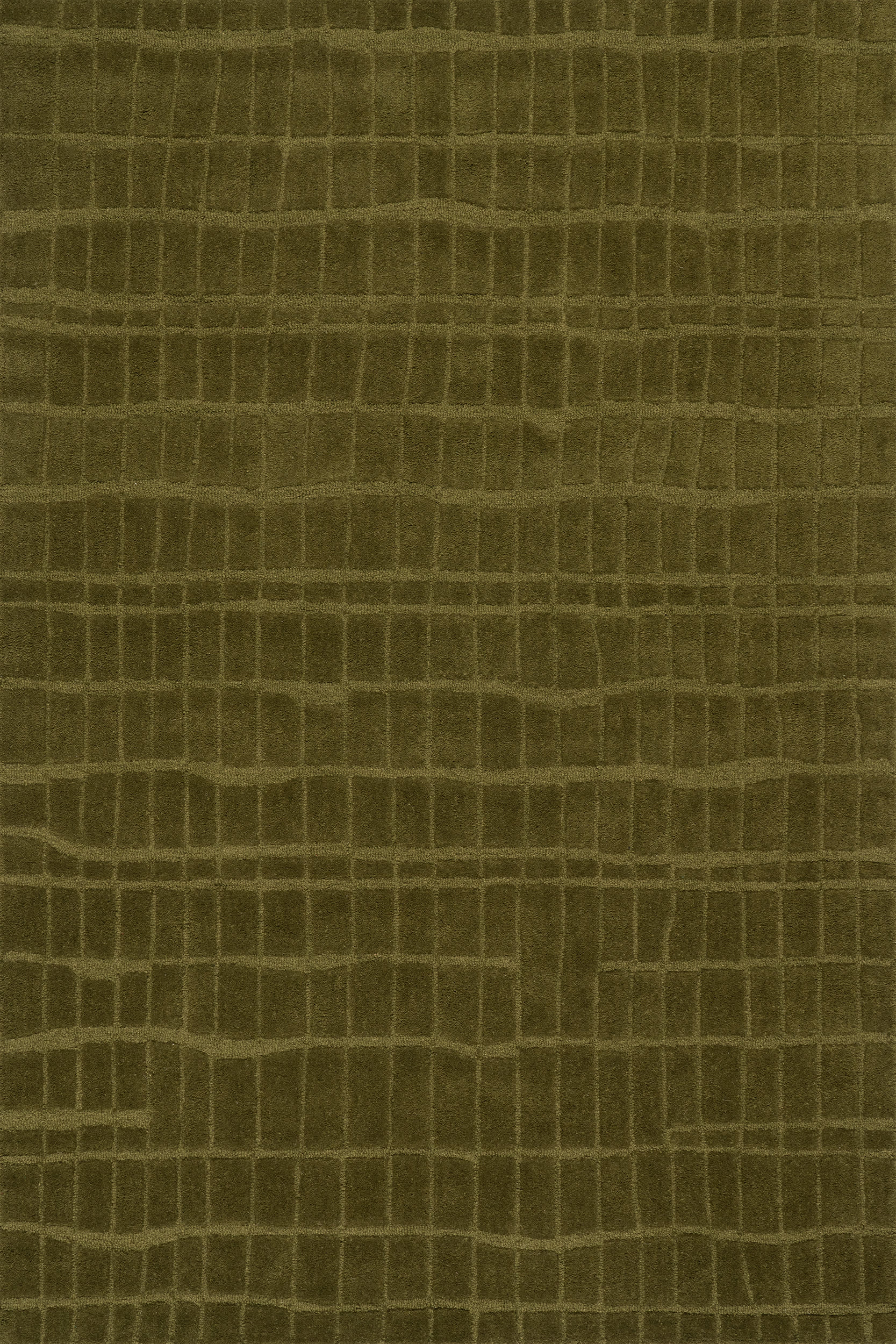 Avela Textured Abstract Rug | Green Image secondaire du produit