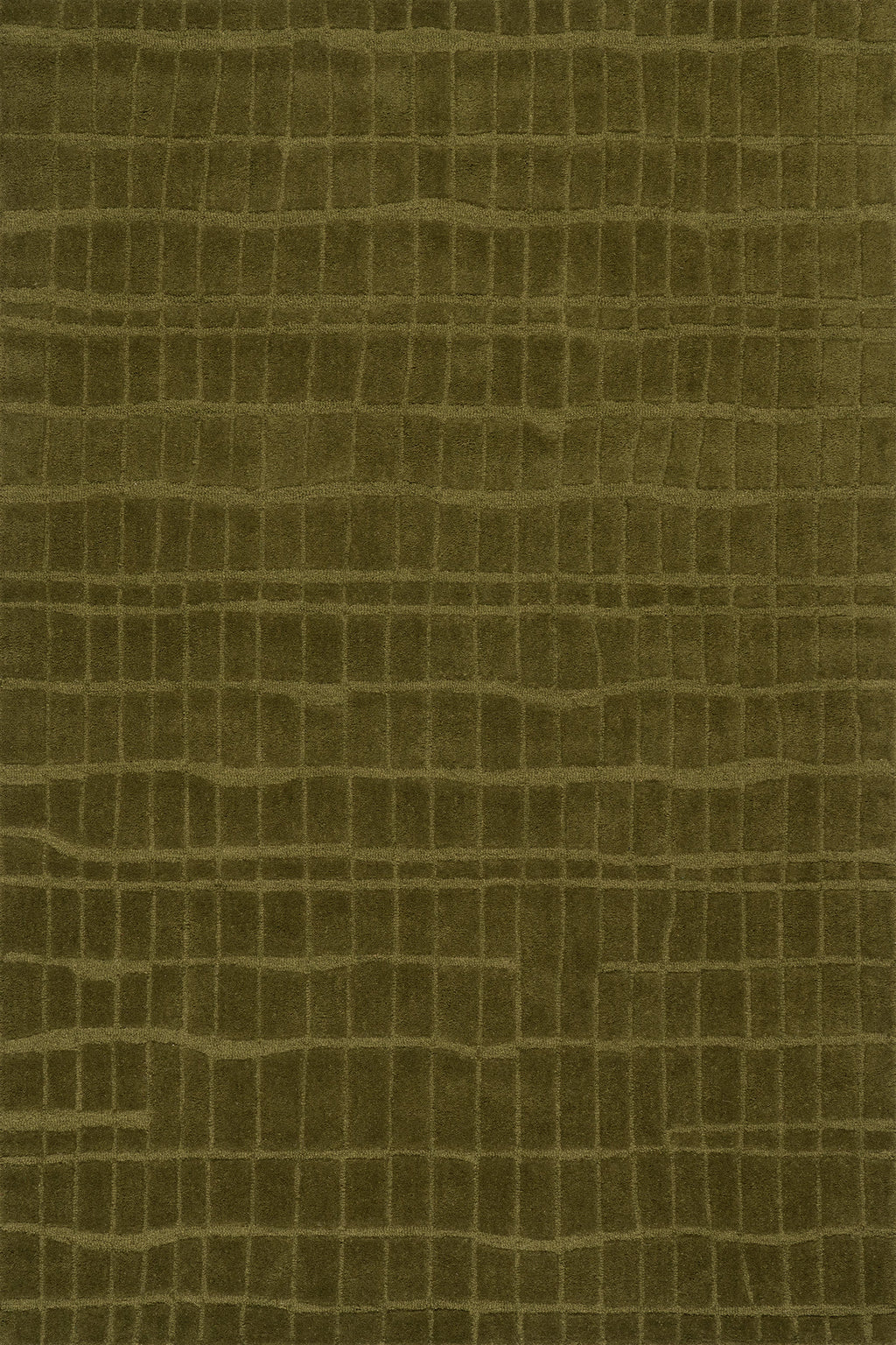 Avela Textured Abstract Rug | Green