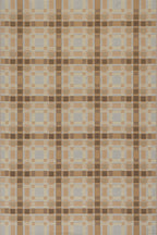 Mesael Modern Plaid Indoor/Outdoor Rug | Tan