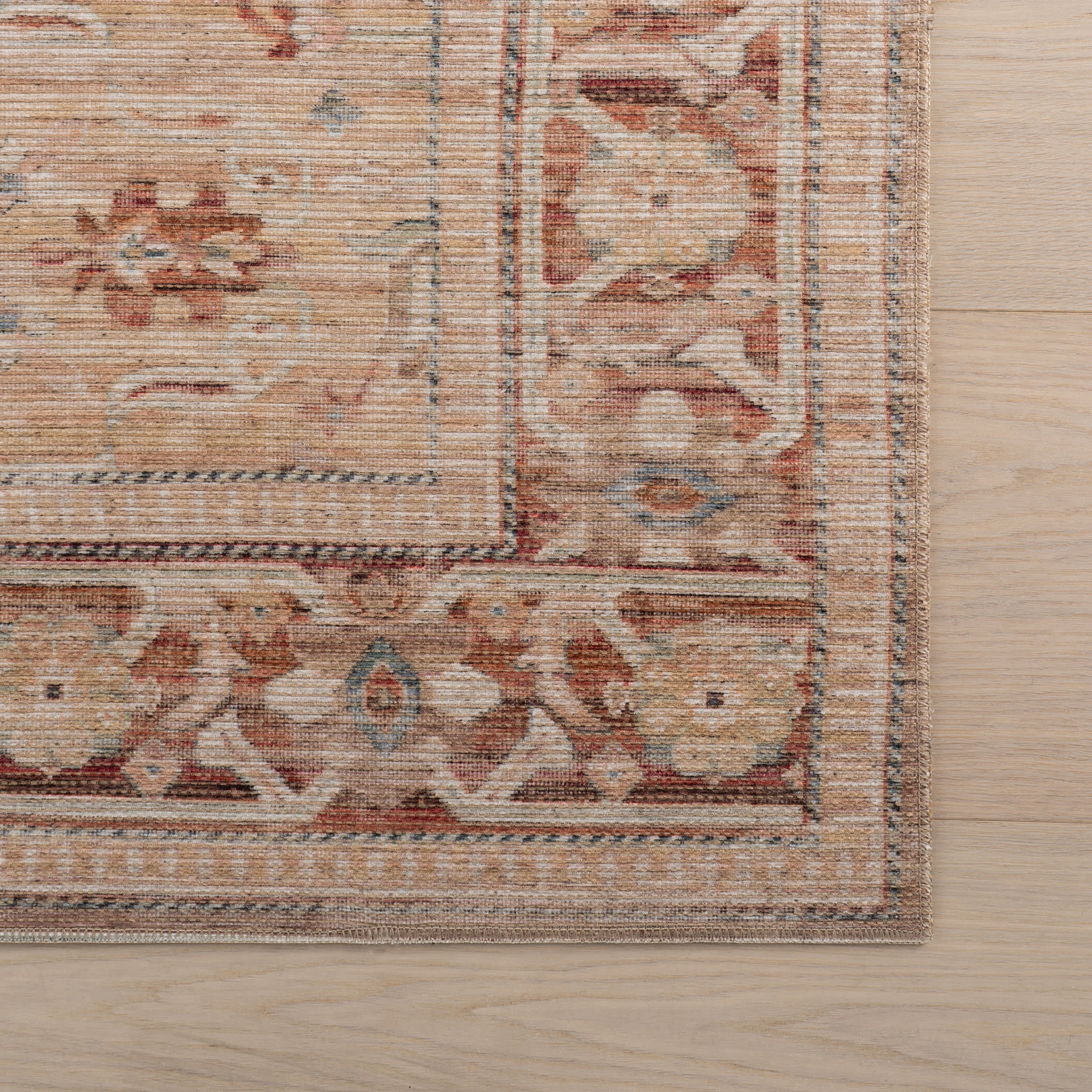 Ankhe Traditional Bordered Rug | Beige