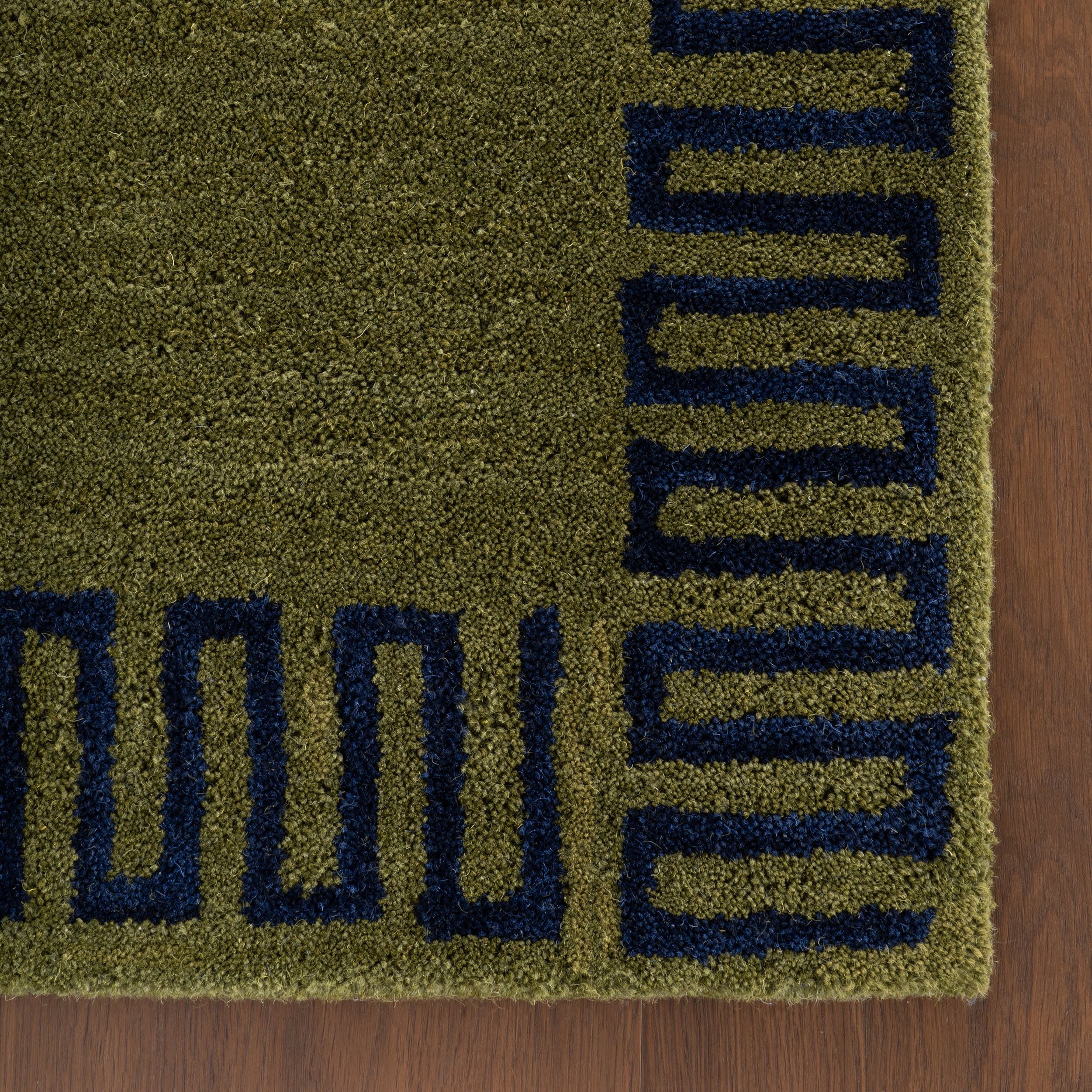 Taya Modern Bordered Rug | Green