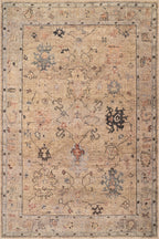 Ilysera Traditional Bordered Washable Rug | Beige