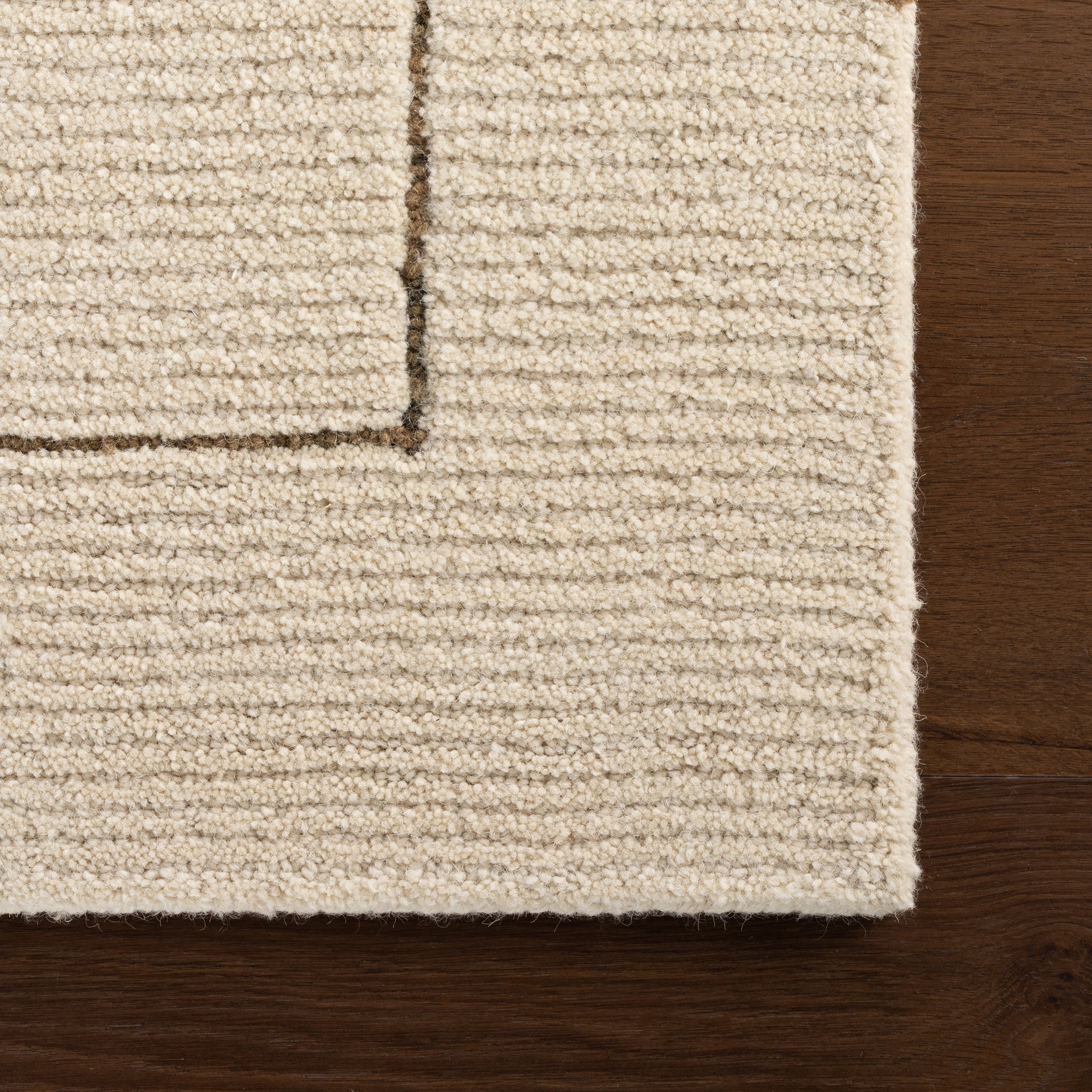 Caligo Mid Century Modern Bordered Rug | Brown