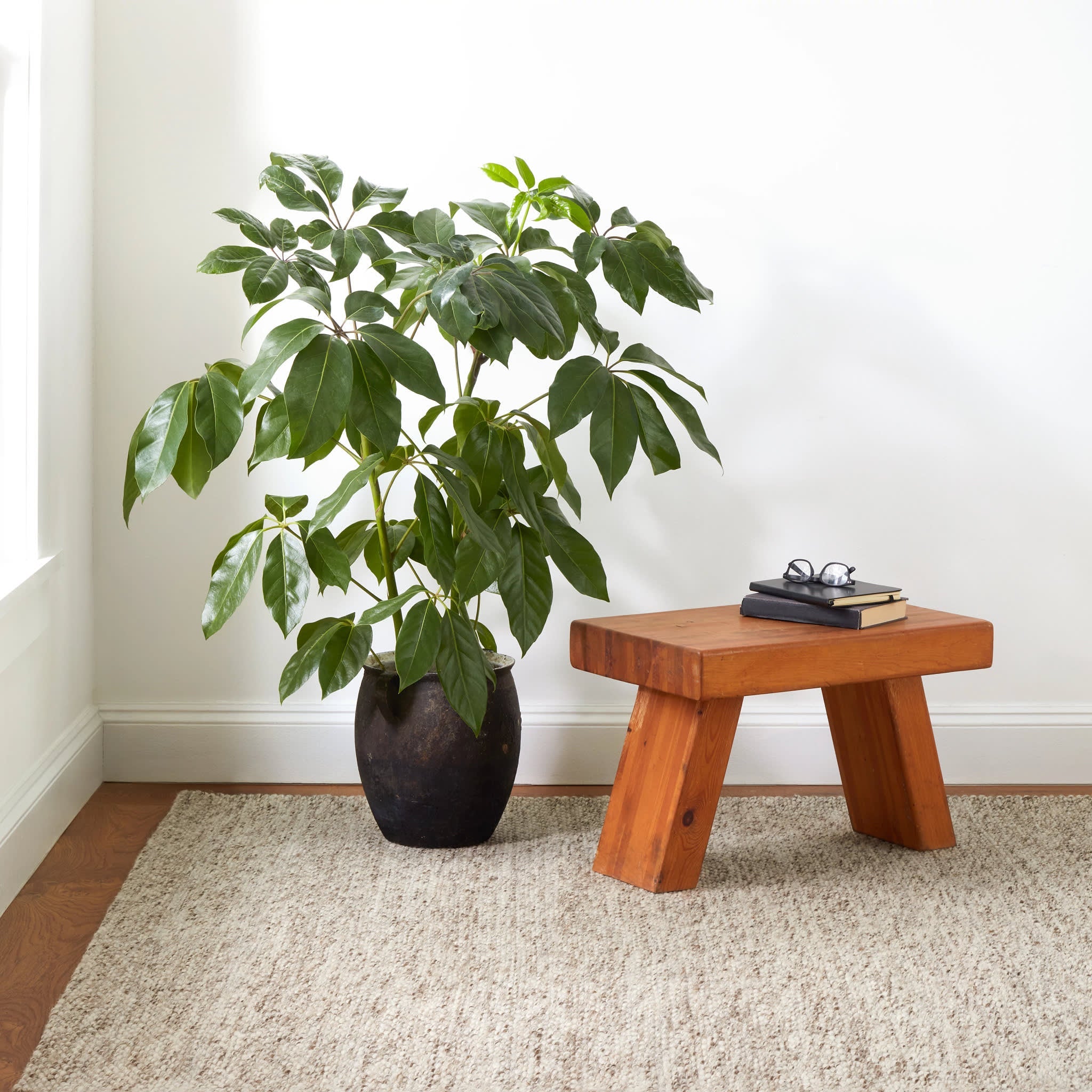 Loggia Handwoven Wool Rug | Natural Image secondaire du produit