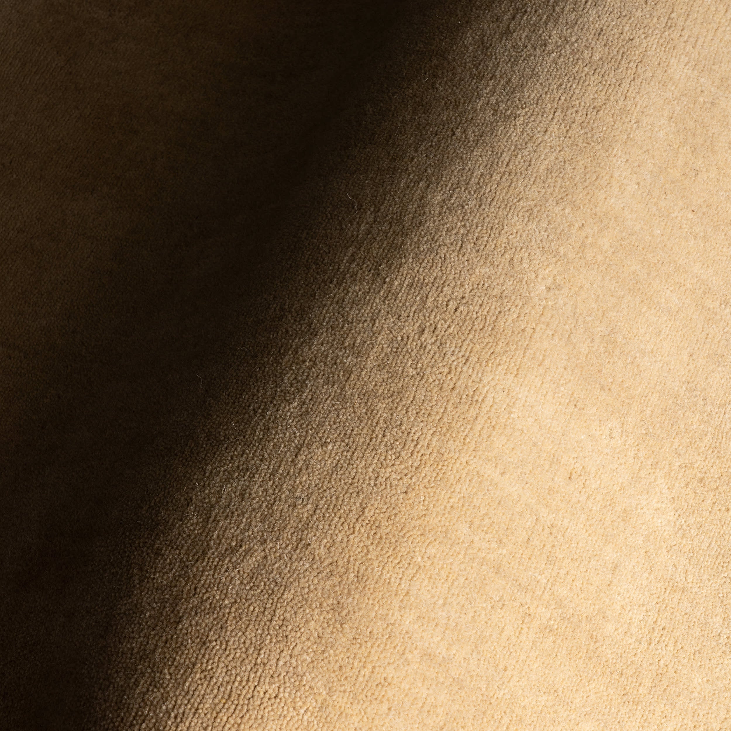 Iania Modern Solid Rug | Ivory