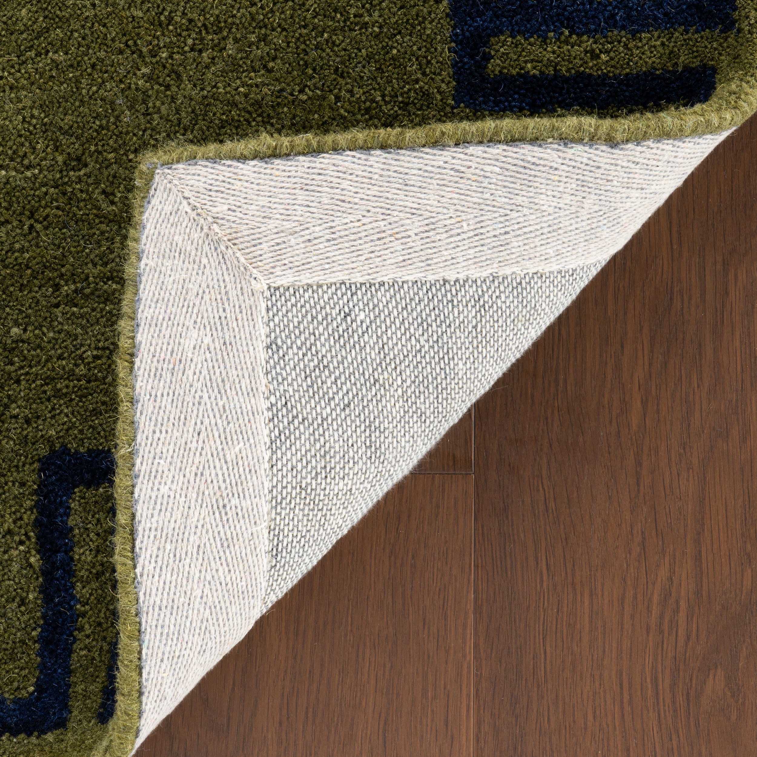 Taya Modern Bordered Rug | Green