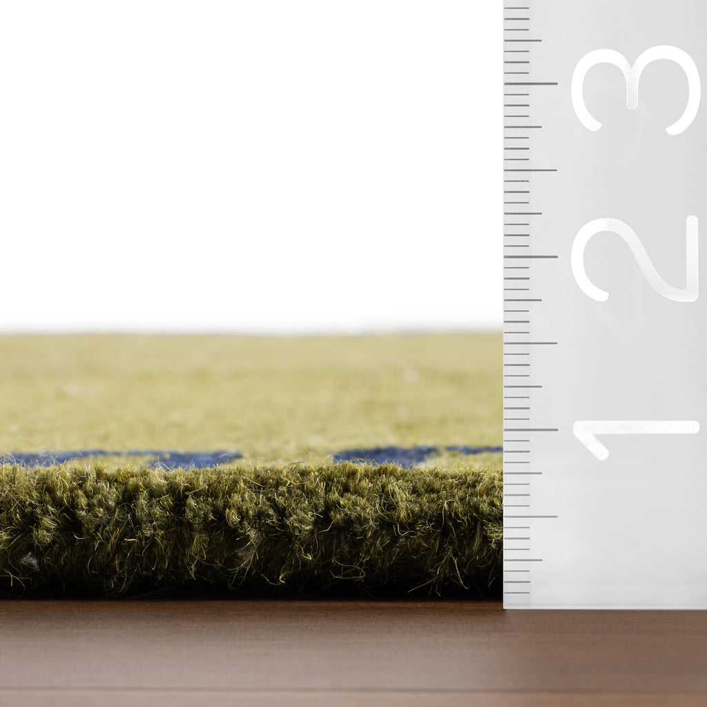 Taya Modern Bordered Rug | Green
