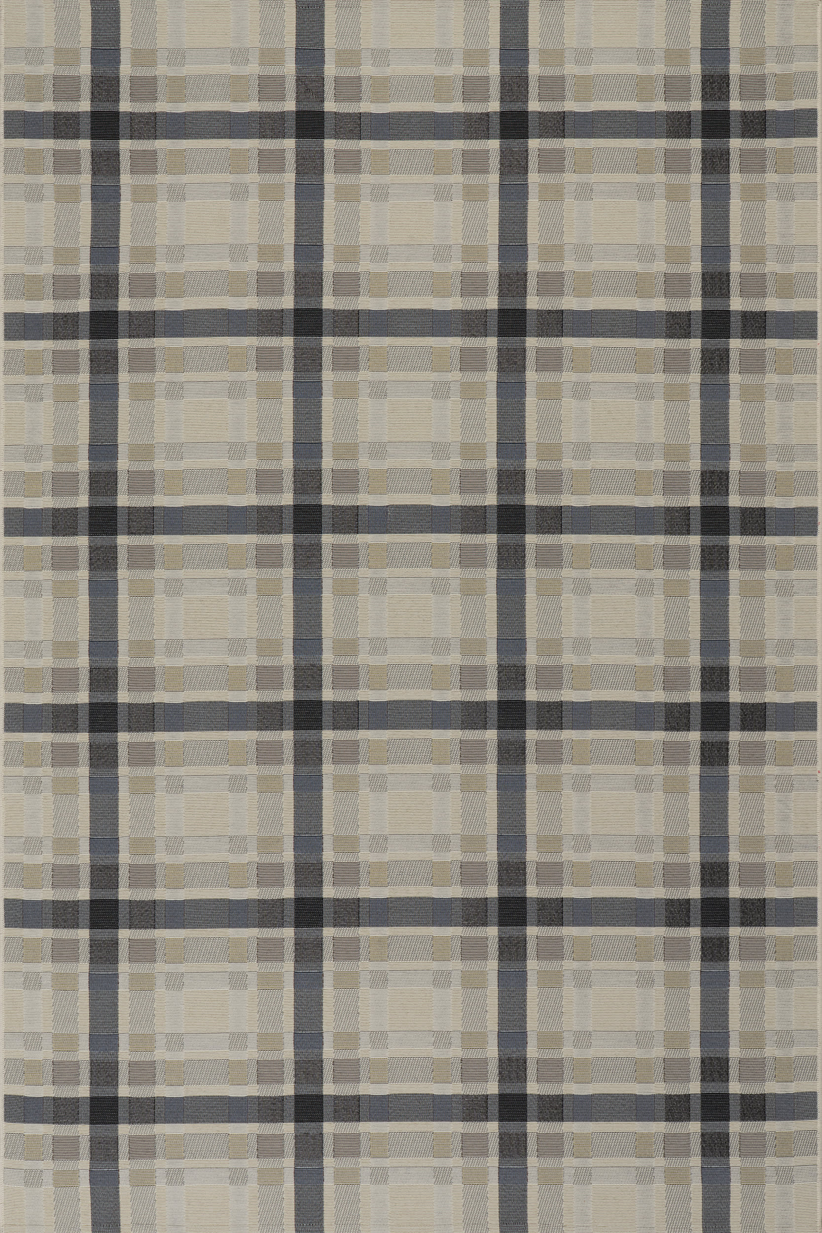 Mesael Modern Plaid Indoor/Outdoor Rug | Blue Main image