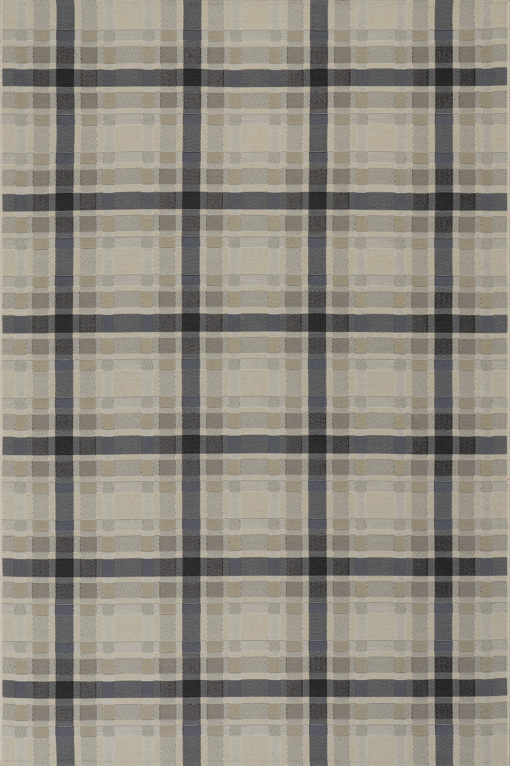 Mesael Modern Plaid Indoor/Outdoor Rug | Blue