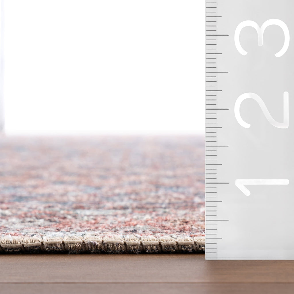 Ferelith Vintage & Distressed Washable Rug | Rust