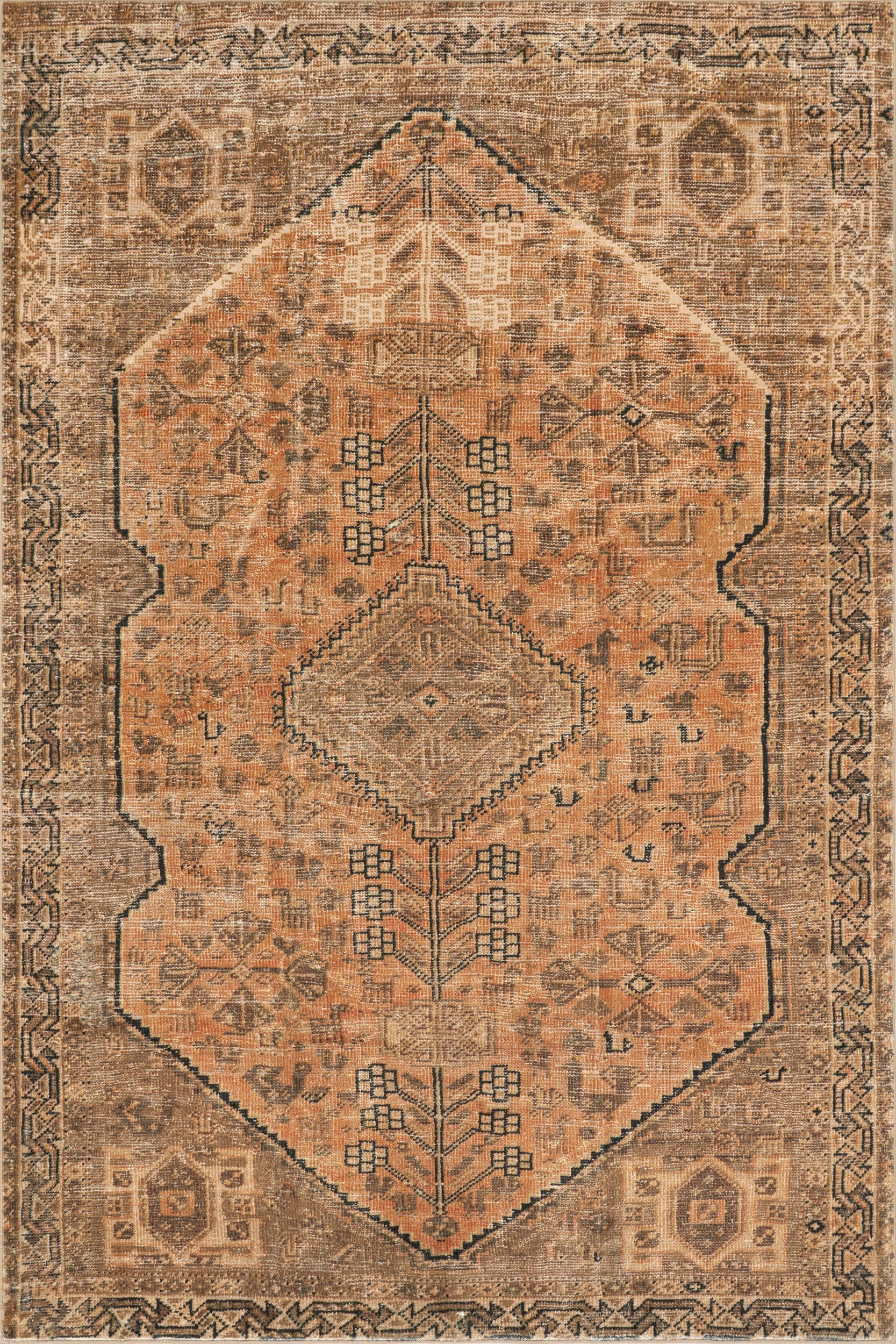 Marth Medallion Washable Rug | Brown Image principale du produit