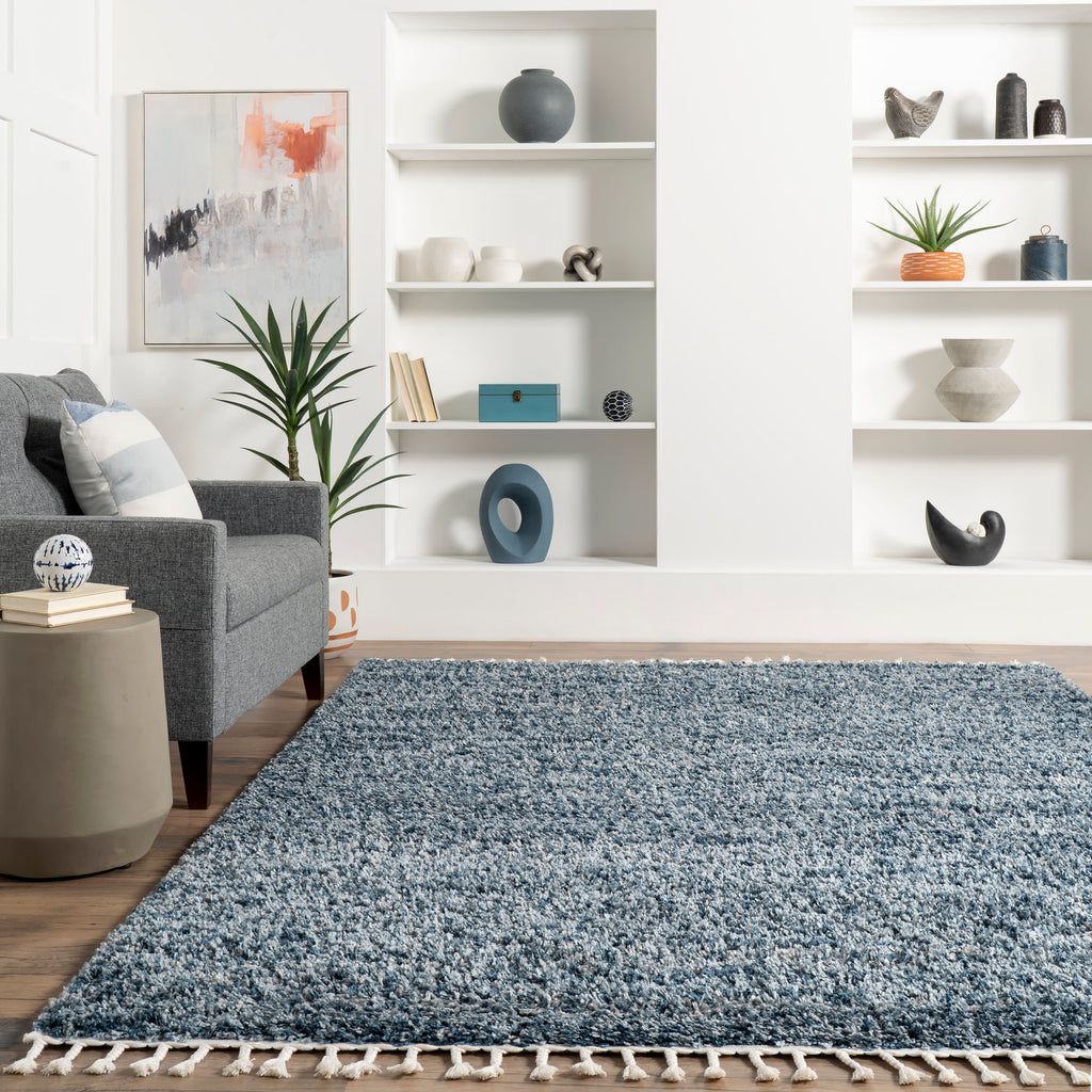 Shaded Shag With Tassels Rug | Blue