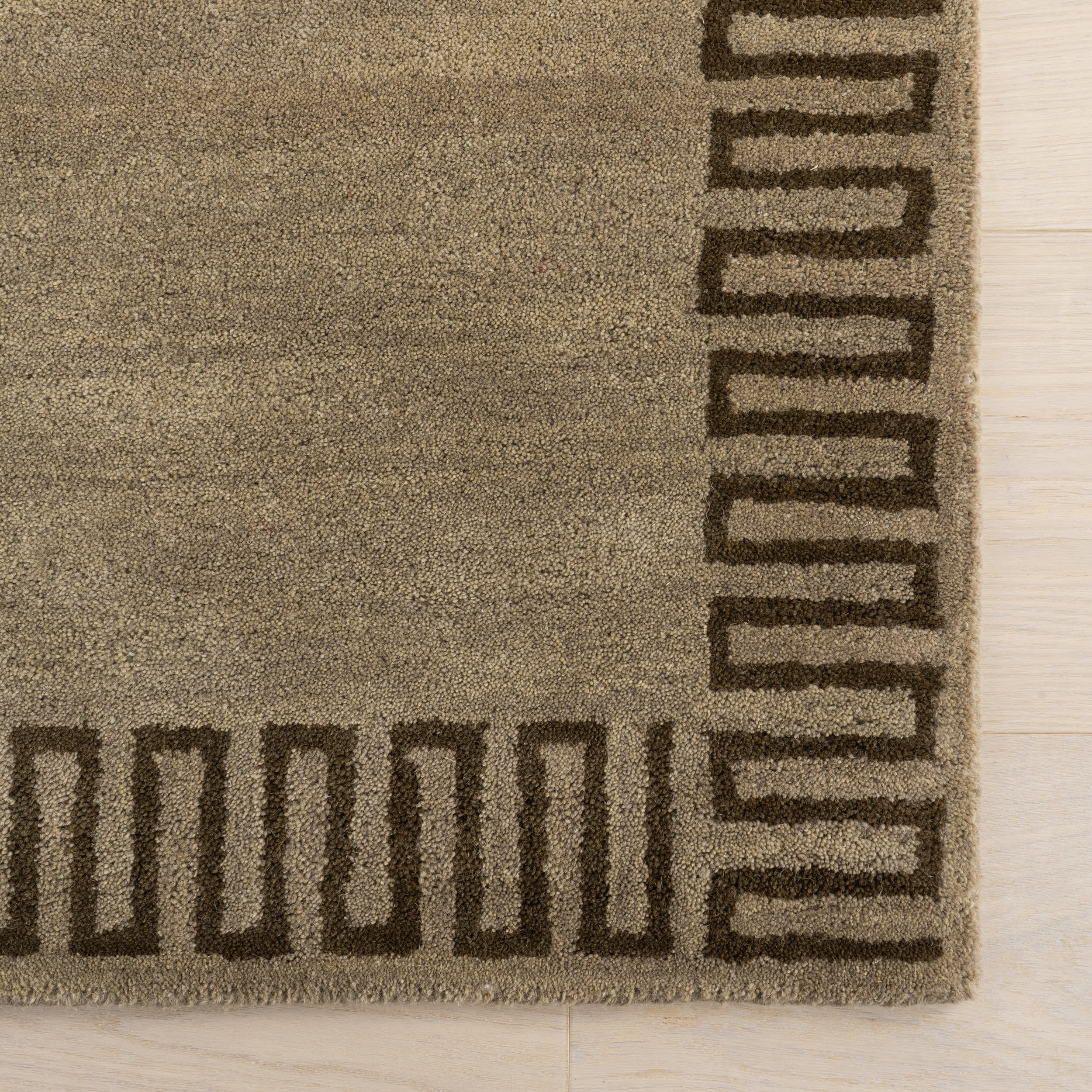 Taya Modern Bordered Rug | Olive