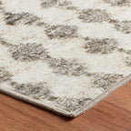 Izzy Machine Washable Rug | Grey
