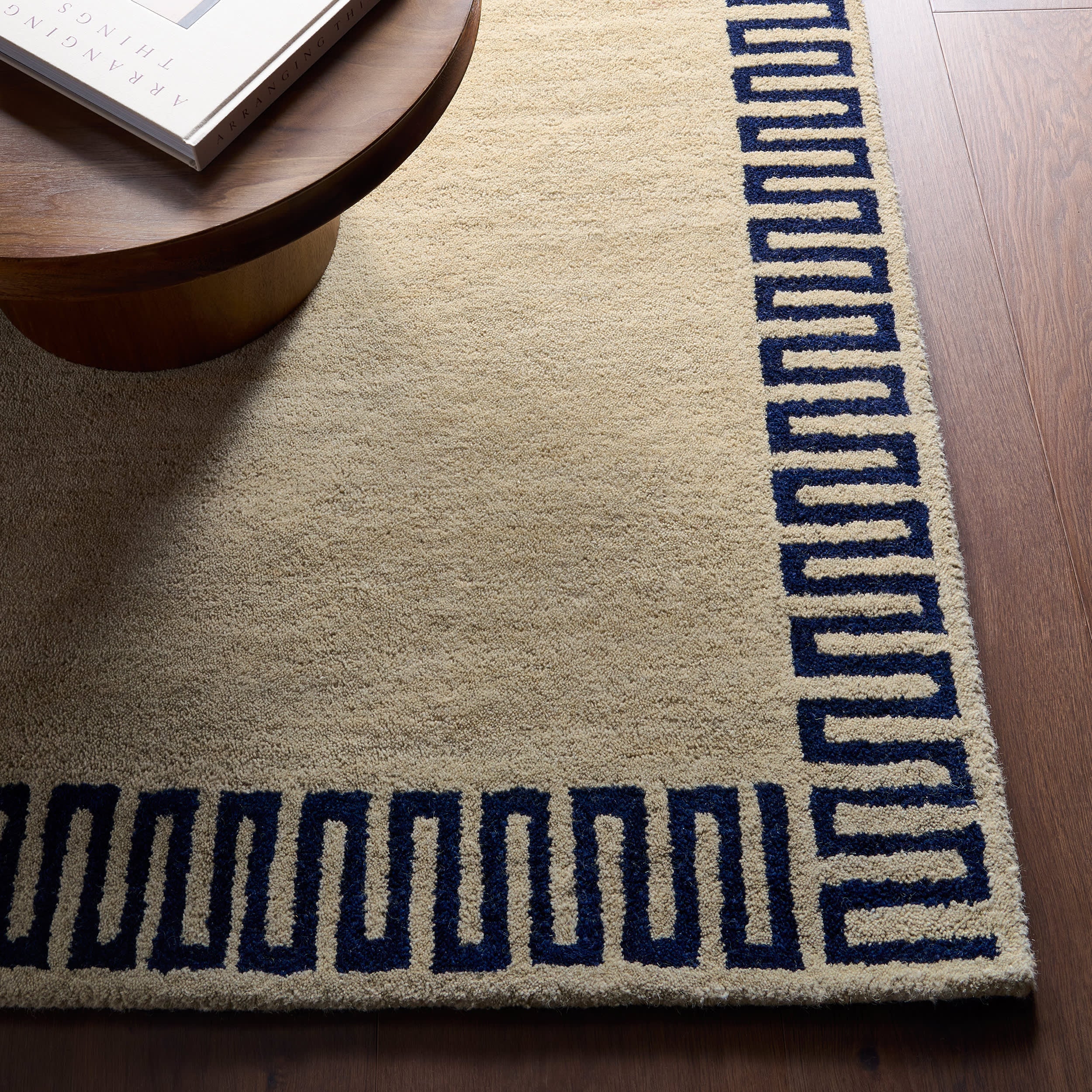 Taya Modern Bordered Rug | Beige