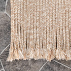 Ashen Braided Tassel Indoor/Outdoor Rug | Tan