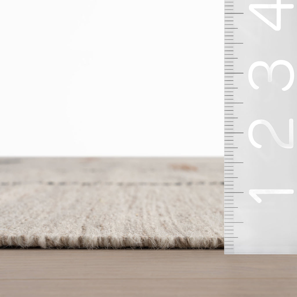 Shiloh Bohemian Striped Wool Rug | Beige