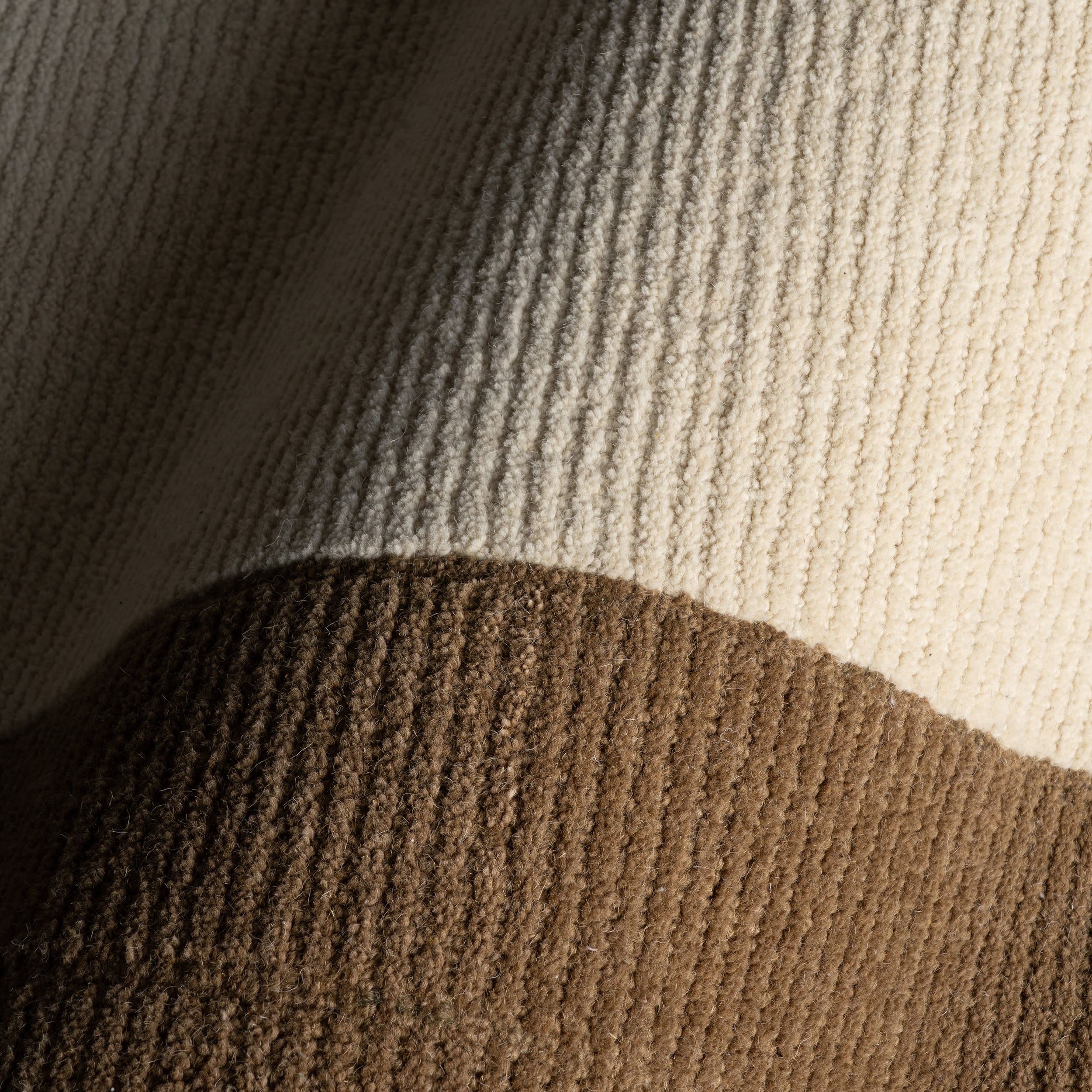 Caligo Mid Century Modern Bordered Rug | Brown Image secondaire du produit