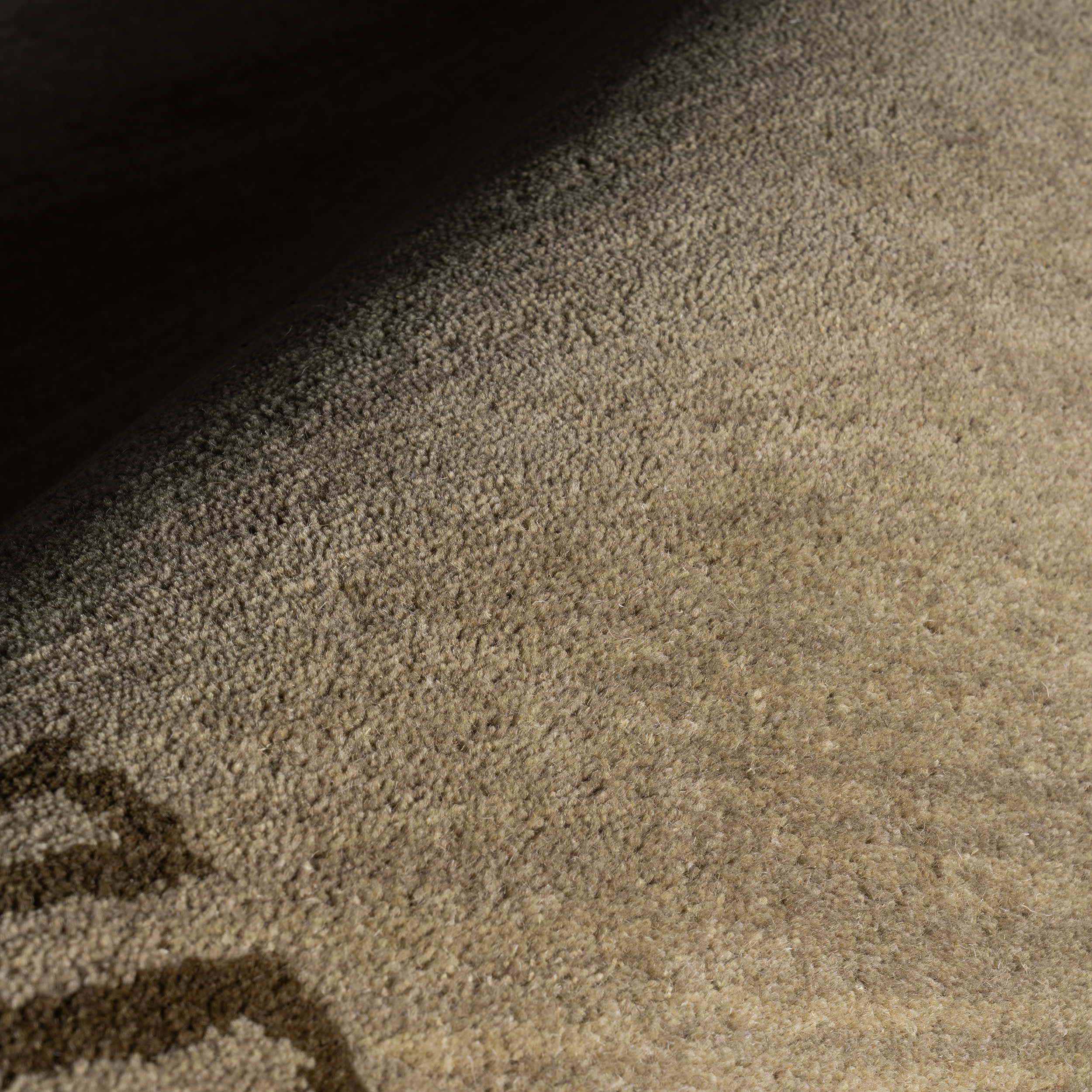Taya Modern Bordered Rug | Olive