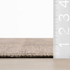 Nefe Bordered Washable Rug | Brown