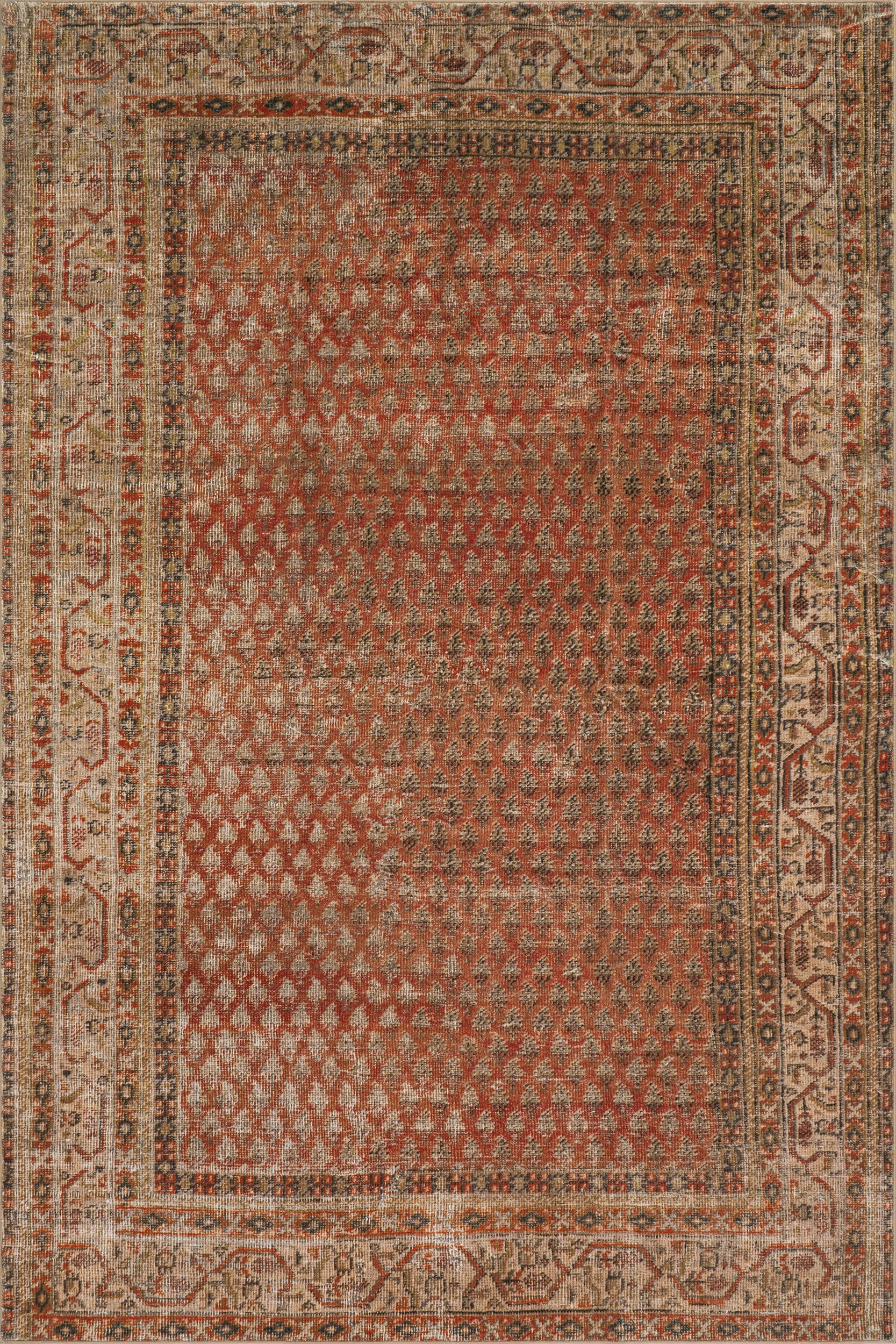 Melin Distresed Washable Rug | Orange Image secondaire du produit