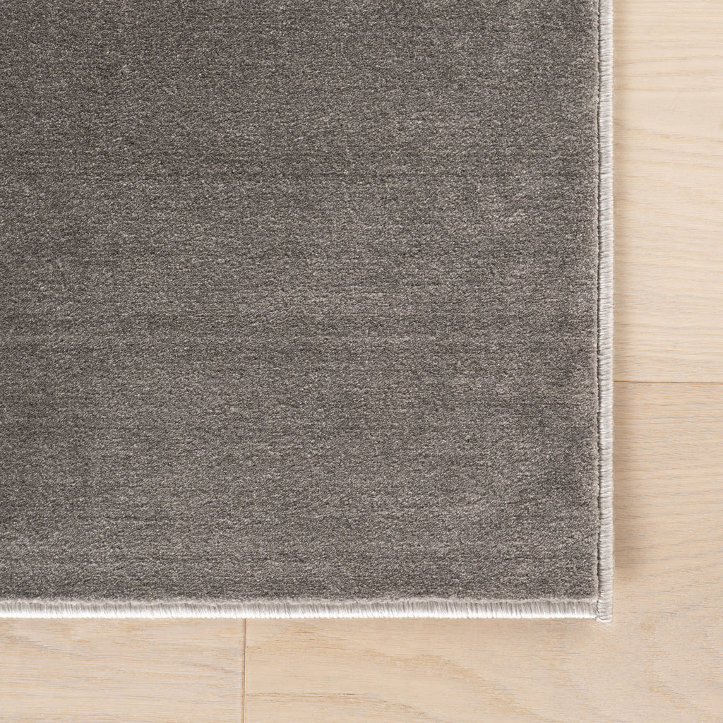 Ranya Modern Solid Rug | Grey