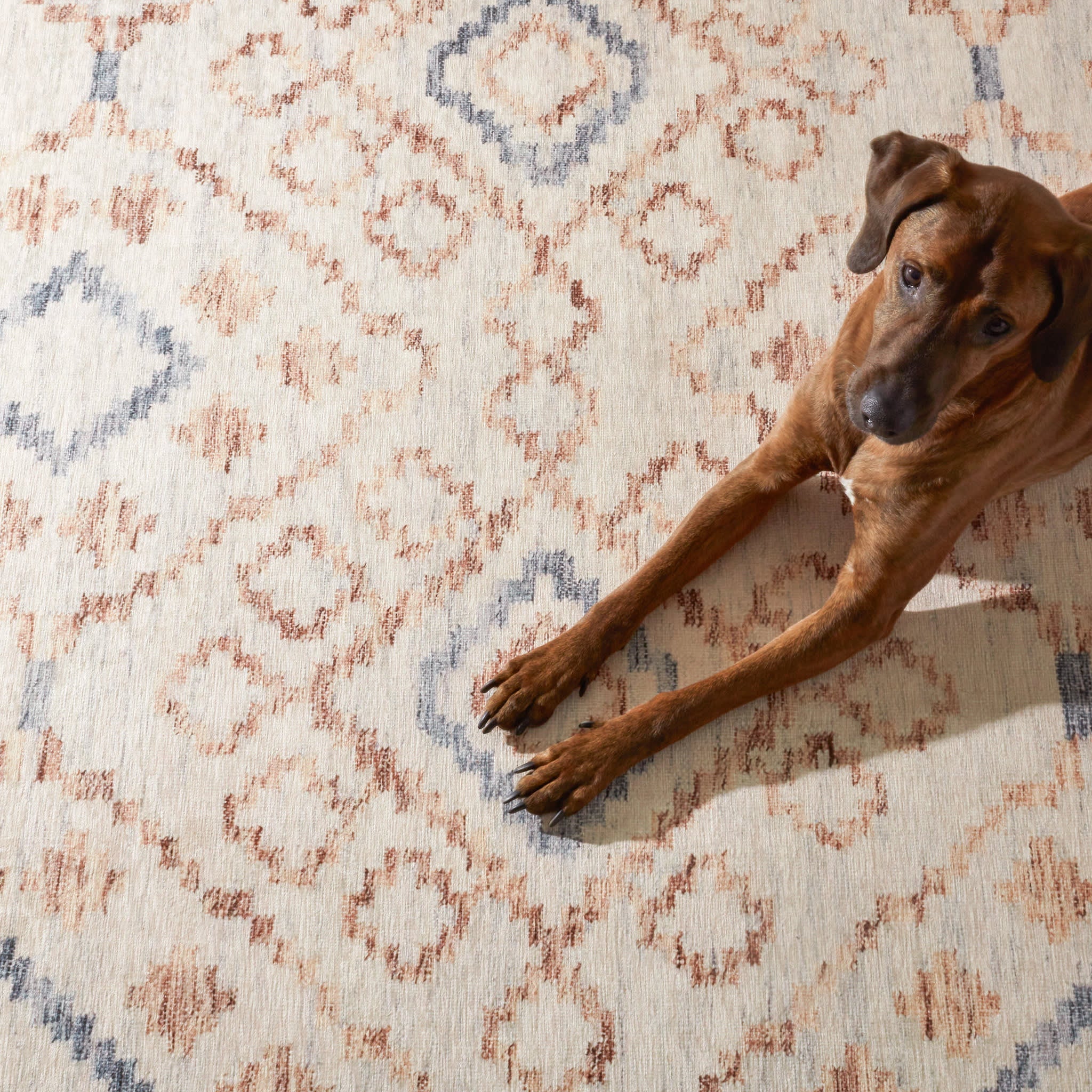 Jelly Roll Machine Washable Rug | Sky