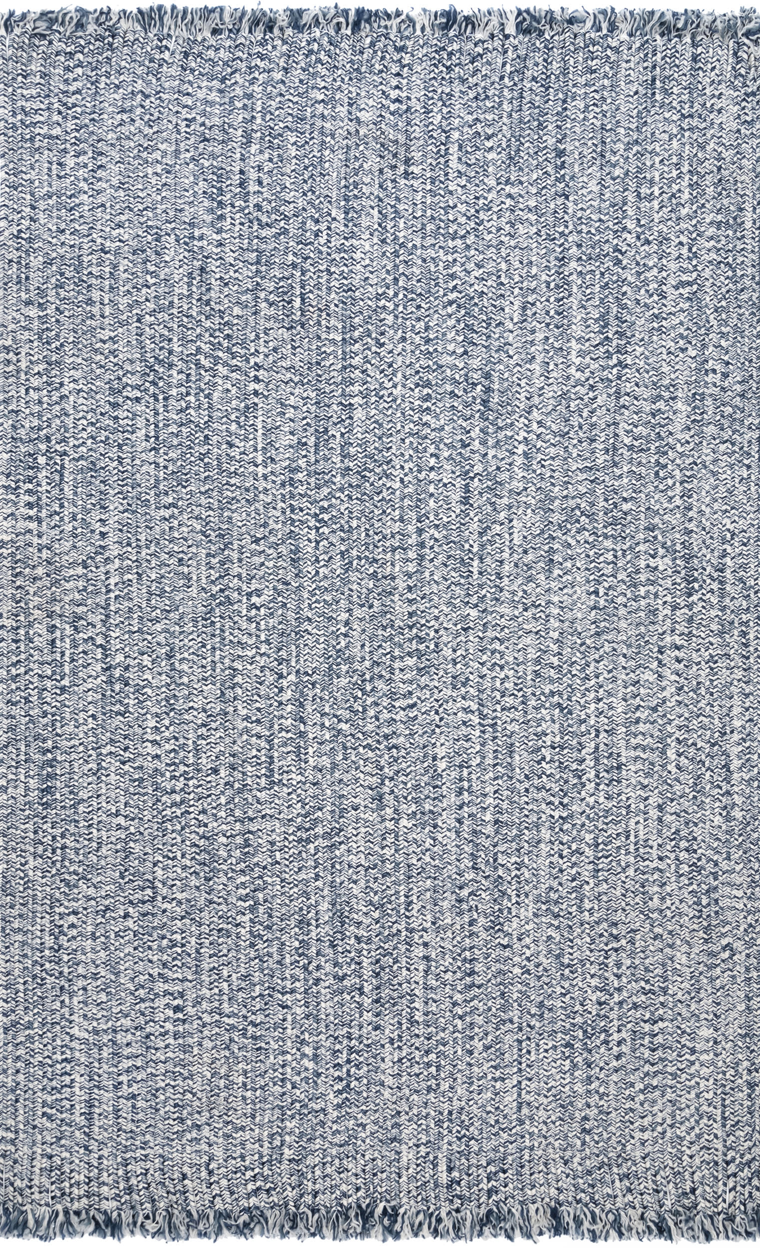 Ashen Braided Tassel Indoor/Outdoor Rug | Blue